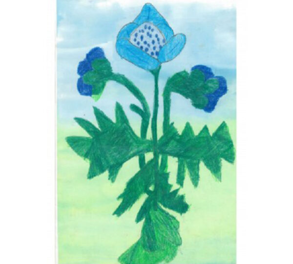 Blauwe Bloem