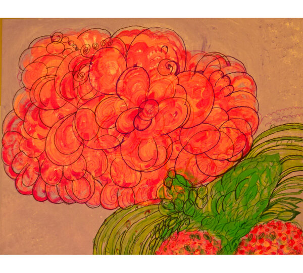 Hortensia
