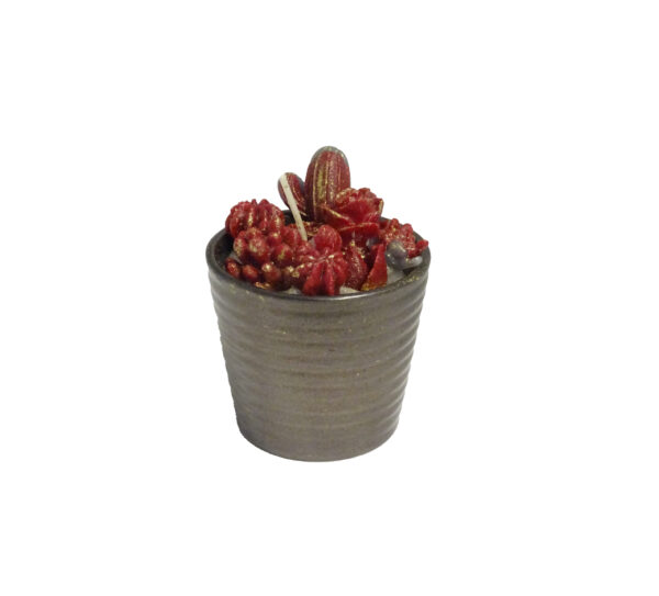 Potje met glinsterende cactusjes